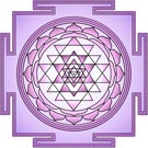 "Sri Yantra Orchid" T-Shirt